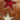 htc los angeles DEBBY STARS COGNAC Hobo bag in Cognac, featuring a zip closure along with a magnetic and buckle closure. Crafted in Italy, with star-shaped details, 100% cow leather. Hollywood Trading Company