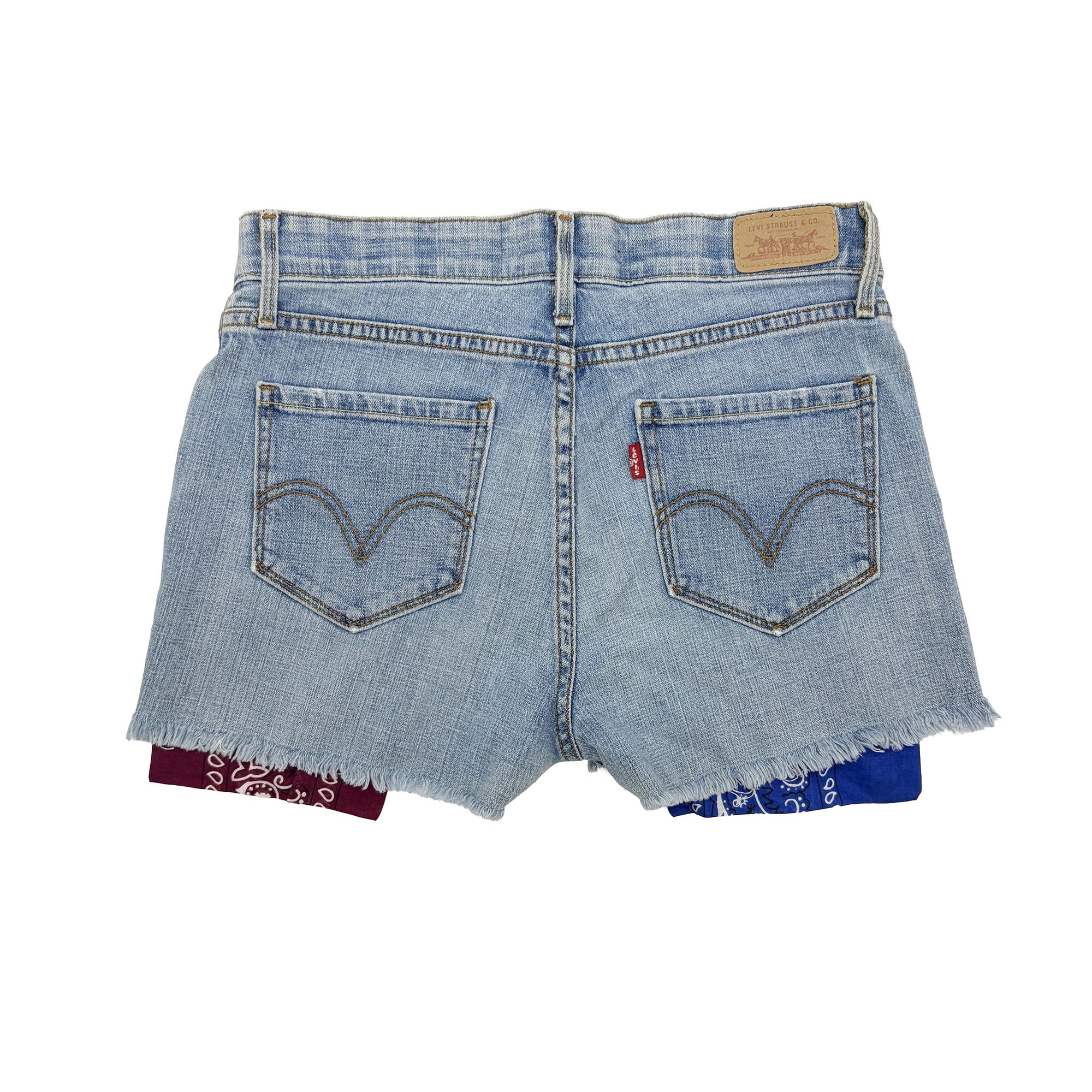 HTC VINTAGE CUSTOM SHORTS-2